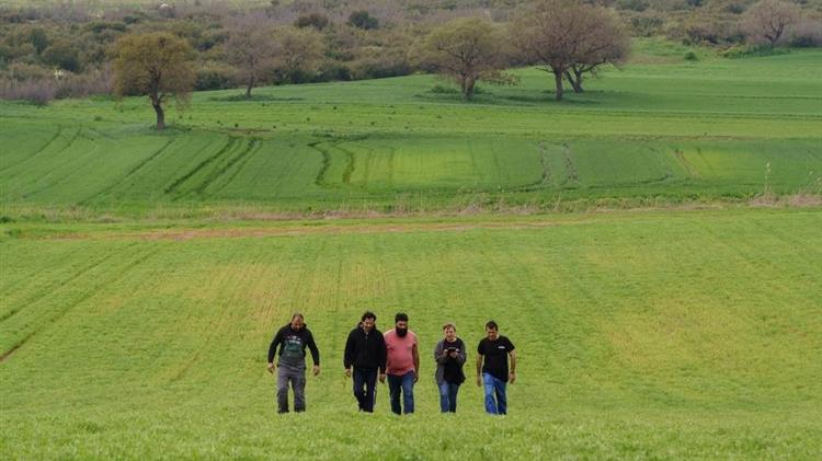 CAP fails to halt biodiversity loss in farming: EU auditors