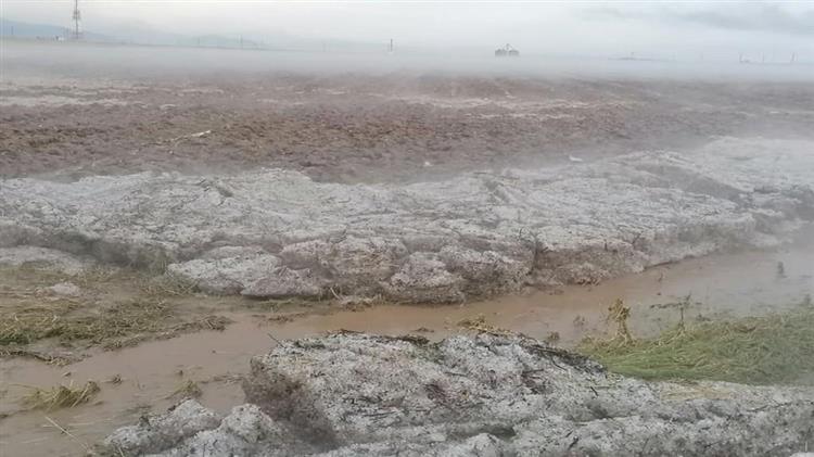 Ολική καταστροφή των καλλιεργειών της Ροδόπης από τη σφοδρή χαλαζόπτωση