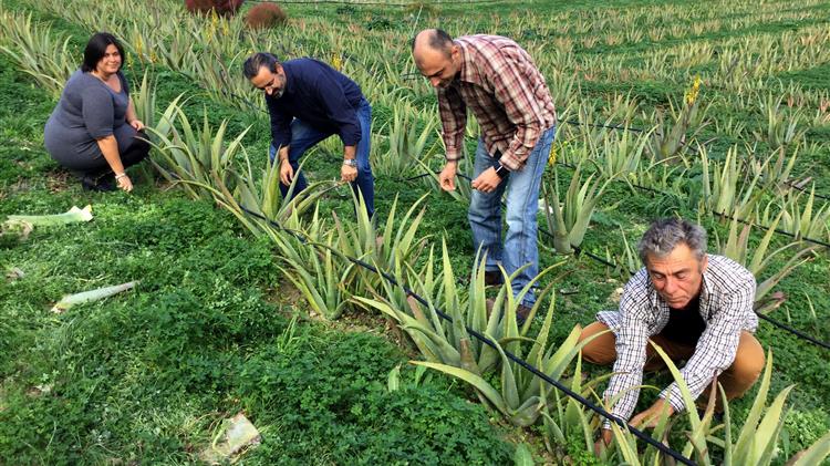 Τροποποίηση της απόφασης για το Μέτρο 9