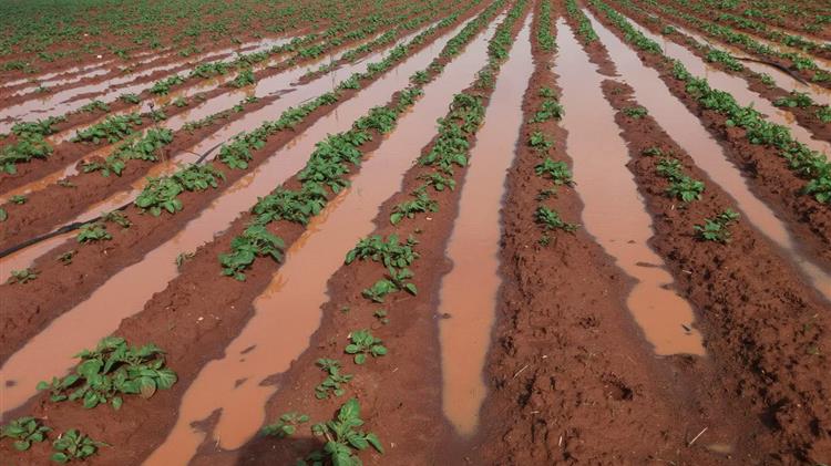 ΕΛΓΑ: Πρόγραμμα ενισχύσεων αντιστάθμισης ζημιών από θεομηνίες στο γεωργικό τομέα