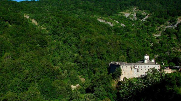 Προσβολή εντόμων στο δάσος του Κάστρου Σερβίων