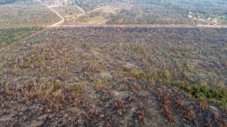 Γ. Αρβανιτίδης: για στόχους Βιώσιμης Ανάπτυξης ΟΗΕ και Αμαζόνιο