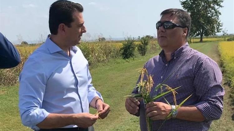 Επίσκεψη Σκρέκα σε ορυζοπαραγωγούς στη Χαλάστρα Θεσσαλονίκης 
