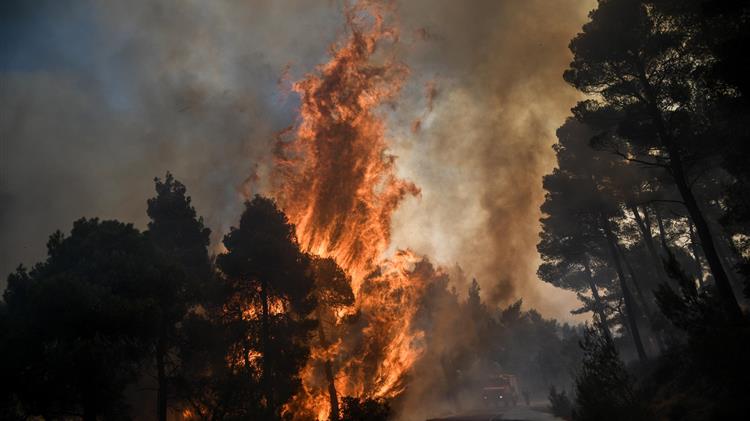 Έκθεση ΕΕ: Το χειρότερο έτος σε δασικές πυρκαγιές