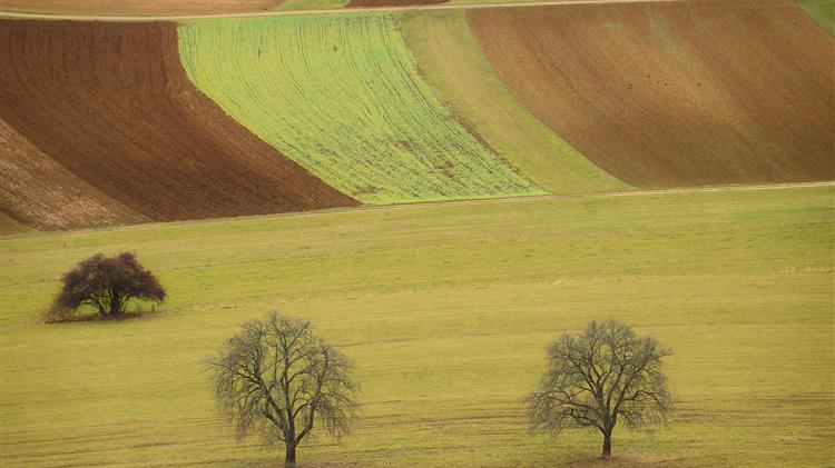 Κόκκαλης: Σε «αχαρτογράφητα ύδατα» η ελληνική γεωργία από την Συμφωνία Ε.Ε. – χωρών της Mercosur