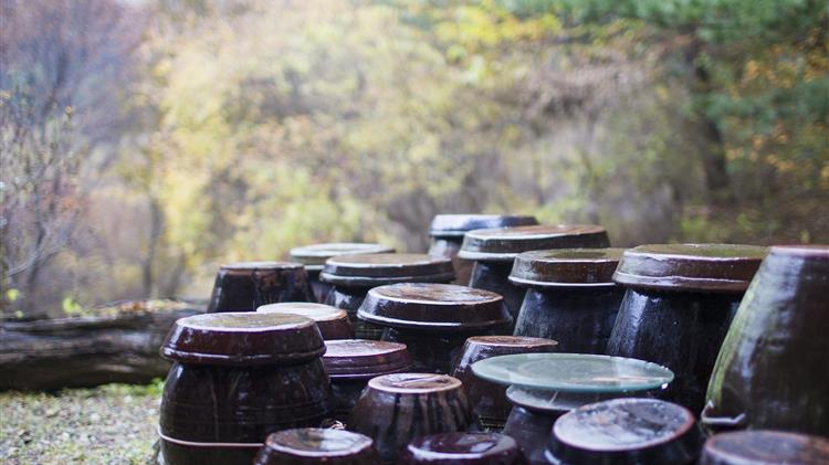 Αύξηση στις εξαγωγές γεωργικών προϊόντων της Ε.Ε.  