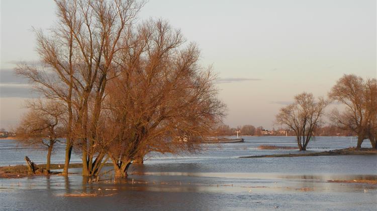 Στην Επιτροπή Περιβάλλοντος για τα οικονομικά εργαλεία αντιμετώπισης της Κλιματικής Αλλαγής