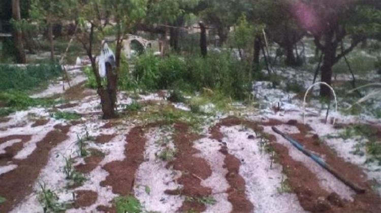 Καταστροφές σε καλλιέργειες σε Τρίκαλα και Αιτωλοακαρνανία 