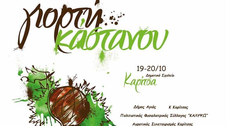 Γιορτή κάστανου στην Αγιά