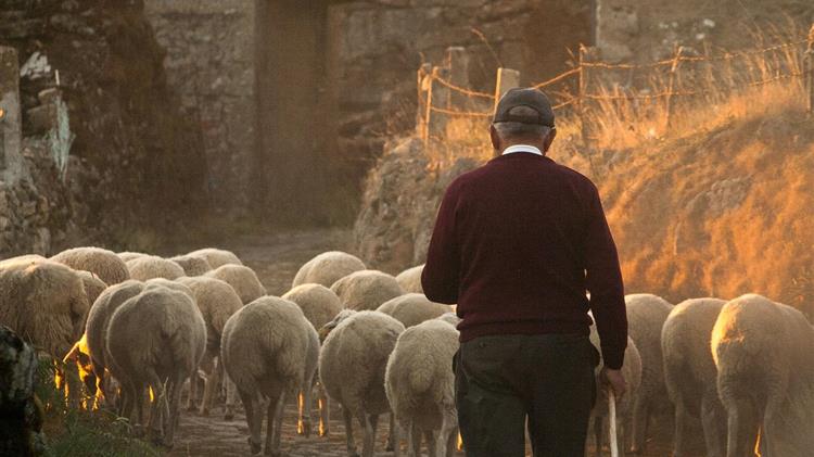 Ενίσχυση της καινοτομίας των ελληνικών αγροτικών επιχειρήσεων
