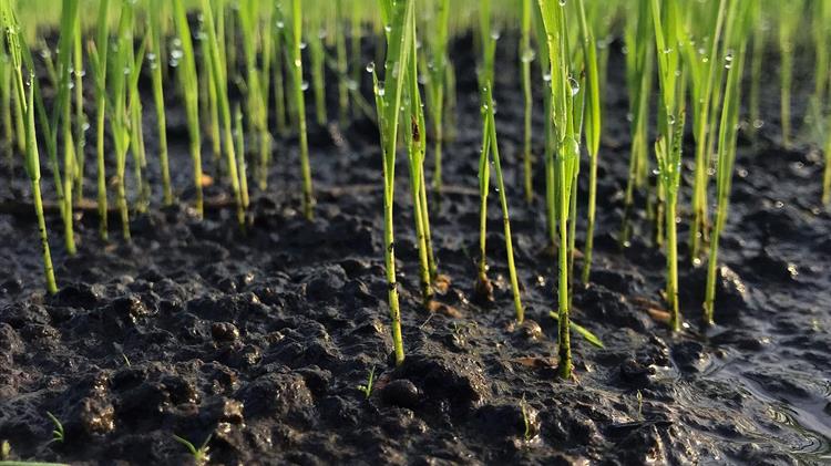 Ένταξη 50 αγροτών από το Νότιο Αιγαίο στο Υπομέτρο 6.3