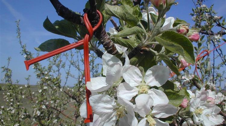 Κομφούζιο: Έως 5 Μαΐου 2025 η ένταξη στο πρόγραμμα