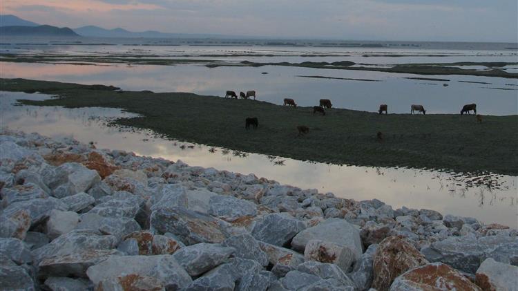 Τροποποίηση στην Προστασία και αποκατάσταση της θαλάσσιας βιοποικιλότητας και των οικοσυστημάτων