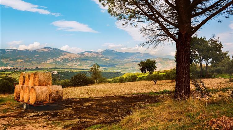 ΣΥΡΙΖΑ-ΠΣ για τον αντίκτυπο της συμφωνίας  ΕU-Mercosur στον ευρωπαϊκό και μεσογειακό αγροδιατροφικό τομέα