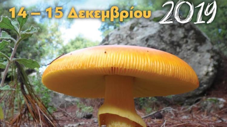 Γιορτή Μανιταριών στη Λέσβο