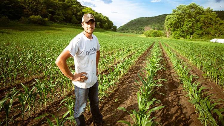 Αποφάσεις ανάρτησης αποτελεσμάτων