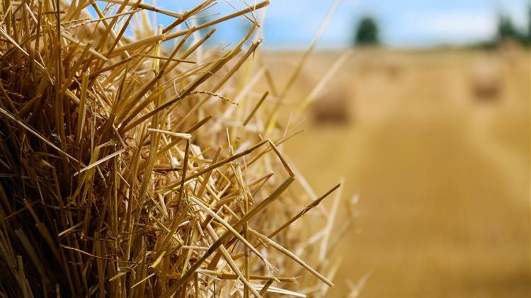 ΑΚΚΕΛ: Πρόστιμα 3,2 δις ευρώ - Χαμένη ευκαιρία για την αγροτική ανάπτυξη