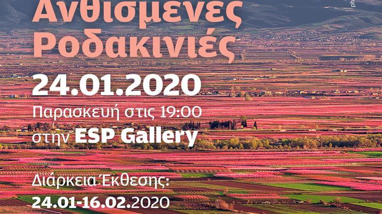 Οι Ανθισμένες Ροδακινιές της Βέροιας ταξιδεύουν στη Θεσσαλονίκη