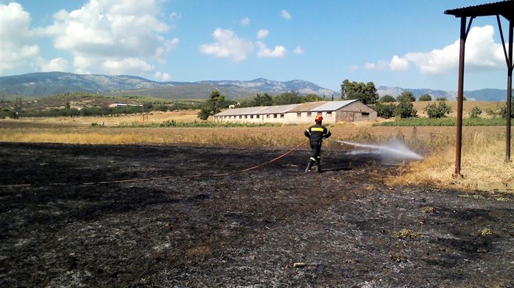 Ζεϊμπέκ: "Η κυβέρνηση αφήνει τους αγρότες του Έβρου να πεθάνουν"