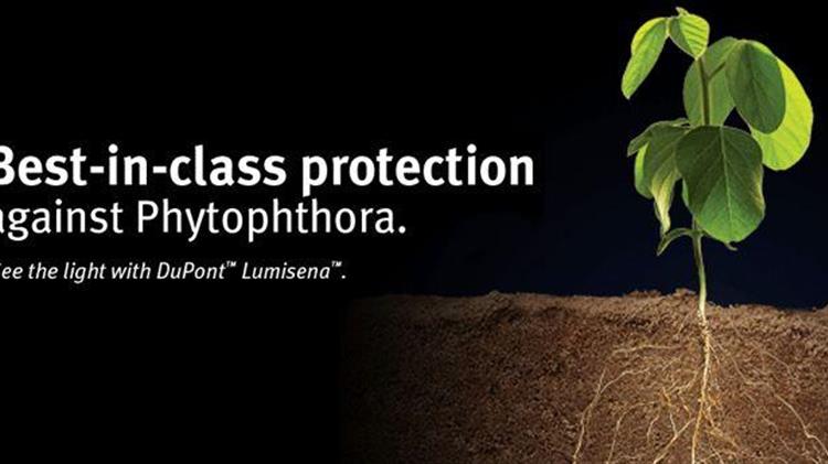 'Αδεια παρέκκλισης  στο μυκητοκτόνο Lumisena για επένδυση σπόρων ηλίανθου