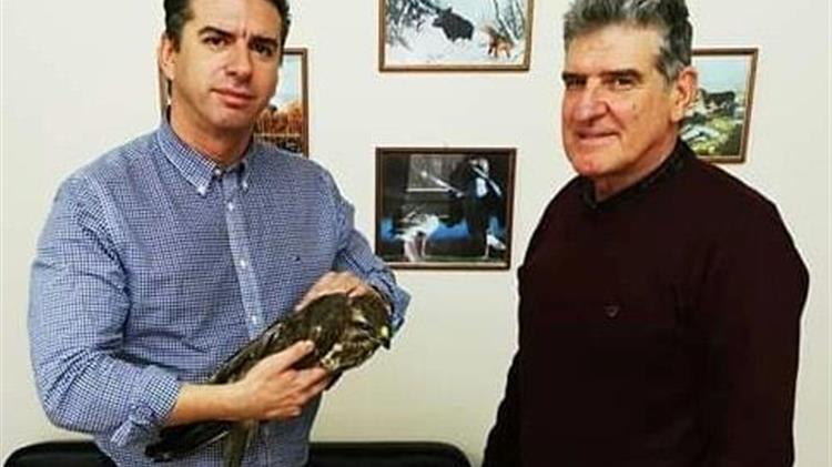 Σε καλά χέρια τραυματισμένο Γεράκι που βρέθηκε στη Λάρισα