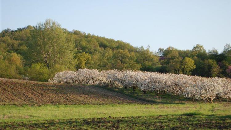 Είναι οι αγρότες κυβερνητική προτεραιότητα;