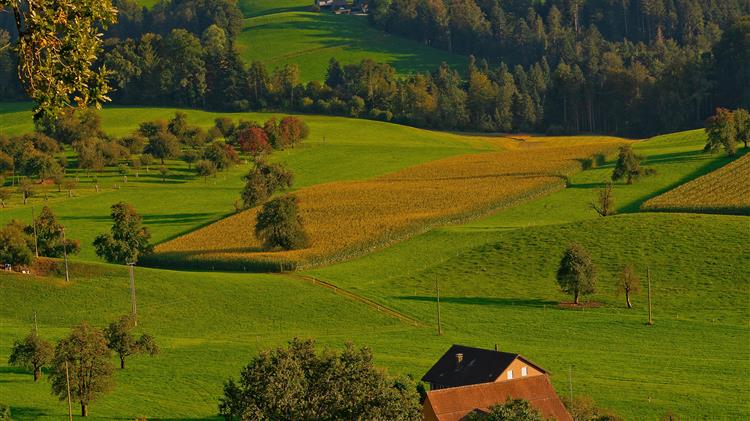 Βελτιστοποίηση της παραγωγής ζωοτροφών του  ΘΕΣγη μέσα από ερευνητικό έργο