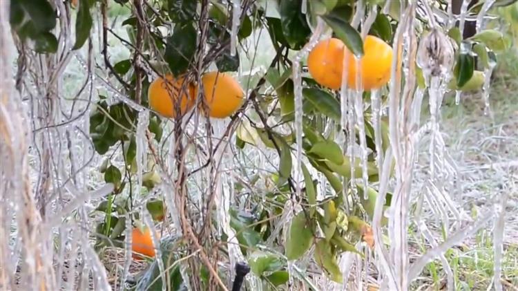 ΕΛΓΑ: Αύριο καταβάλλονται οι προκαταβολές στους παραγωγούς