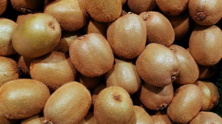 Μεγάλη ζήτηση και υψηλές τιμές για το ακτινίδιο