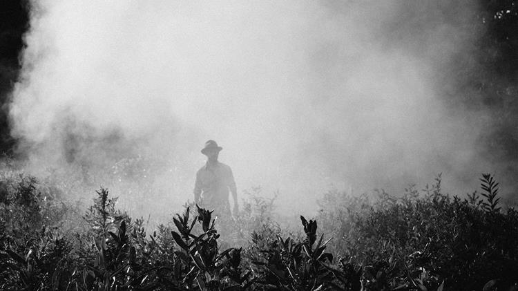 Κ. Μπαγινέτας: Αυτό είναι το σχέδιο για τους έλληνες αγρότες