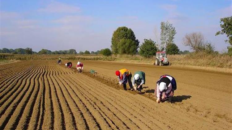 Ξανα στα δικαστηρια ο Αγροτικός Σύλλογος Ιεράπετρας