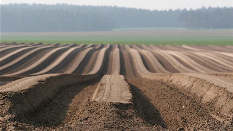Οι προτάσεις του ΠΑΣΟΚ για την αναθεώρηση της ΚΑΠ
