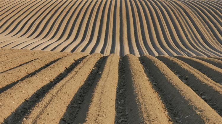 Κλειδώνοντας τον άνθρακα στο έδαφος με γεωργικά απόβλητα