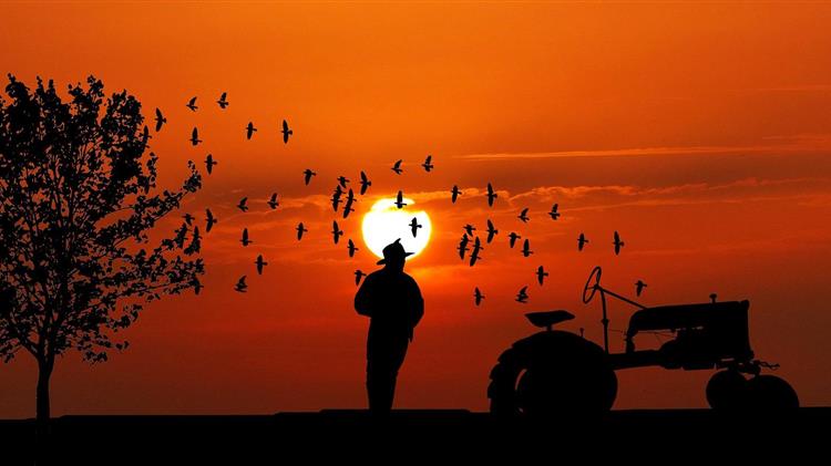 Farmers: English farmers face subsidy cuts of up to 25%