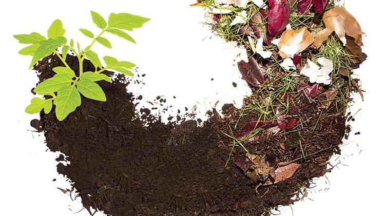 «Καθαρό» καύσιμο για τσιμεντοβιομηχανίες από βιοαπόβλητα κουζίνας