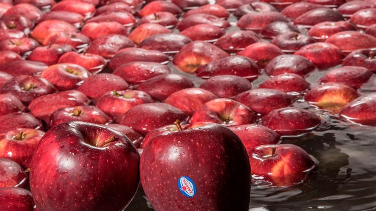  ΖΑGΟRΙΝ:  γεωργική παραγωγή και στοχευμένες δράσεις περιβαλλοντικής προστασίας