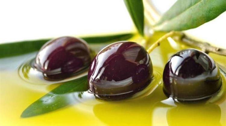 Έρχονται στην Κρήτη να δουν την καταστροφή της ελαιοπαραγωγής