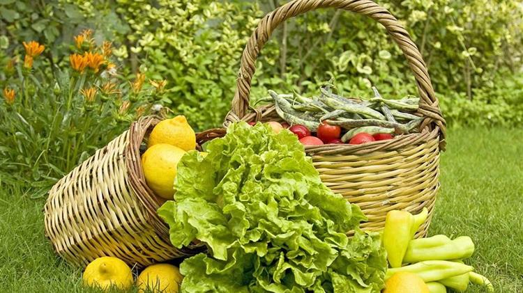 Τροποποίηση 1ης Πρόσκλησης για Βιολογικές Πρακτικές: Νέες Ενισχύσεις για Νεοεισερχόμενους!