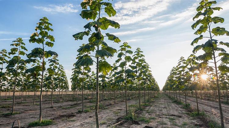 Συναλλαγές αγροτικού συνεταιρισμού με τα μέλη του