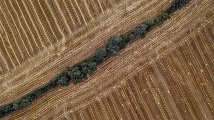 Κεφαλογιάννης για ΚΑΠ: «Ισχυρή χρηματοδότηση, μείωση γραφειοκρατίας»