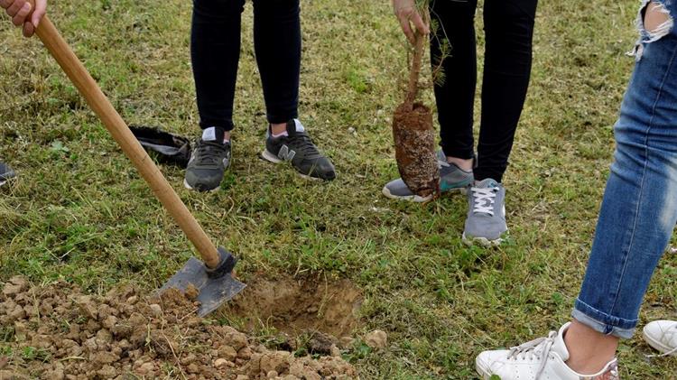 Δράση Δενδροφύτευσης στην Πολυτεχνειούπολη στο Ακρωτήρι