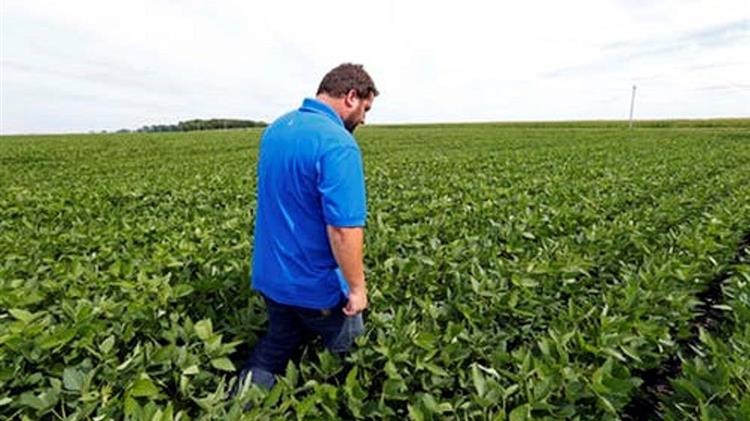 Don’t Worry About Supermarket Shelves. Worry About Farmers.