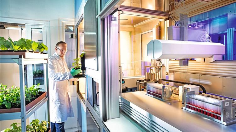 Η Bayer ηγείται της καινοτομίας και της βιωσιμότητας στη Γεωργία με κορυφαίες επενδύσεις και χαρτοφυλάκιο