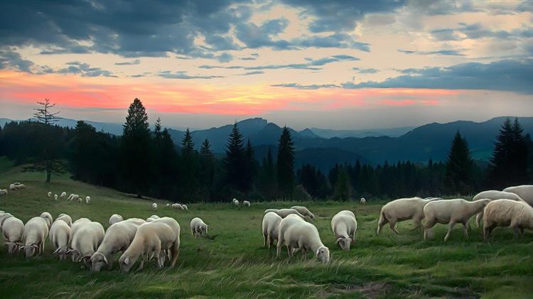 Λαϊκή Συσπείρωση: για τους αγροτοκτηνοτρόφους της Κρήτης