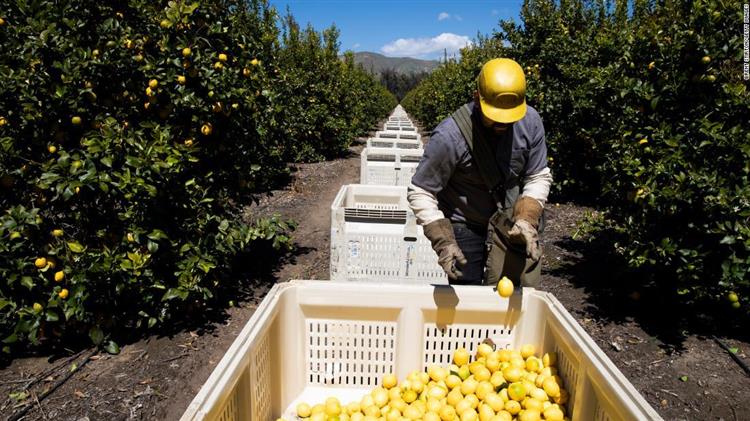 What happens to our food supply if American farmers can't farm?