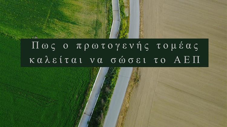 Πως ο πρωτογενής τομέας καλείται να σώσει το ΑΕΠ