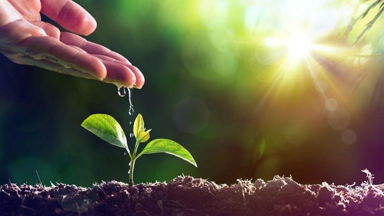 Εγγραφή ποικιλιών μεγάλου αριθμού φυτικών ειδών στον εθνικό κατάλογο