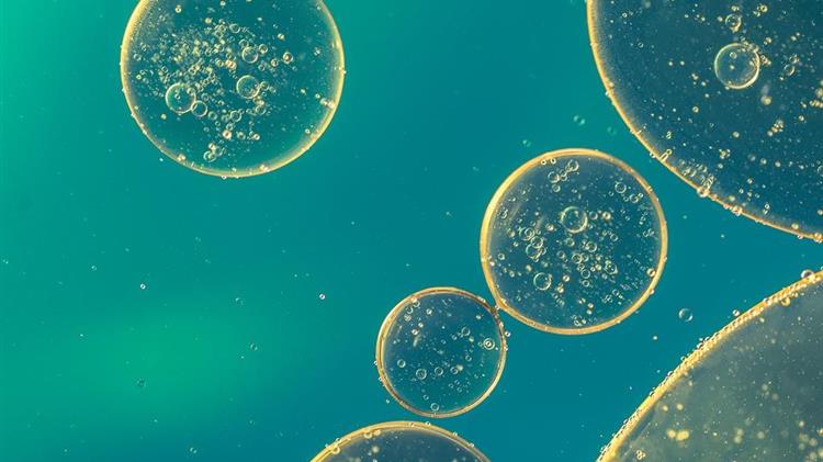 Καναδάς: Κτηνοτροφία από κυτταρική διαίρεση