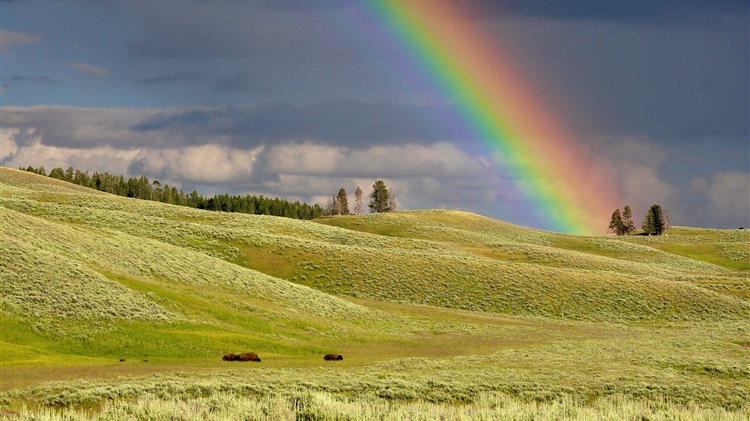 Τι θα συμβεί σε Γεωργία και Κτηνοτροφία της Ε.Ε. από τώρα έως το 2035