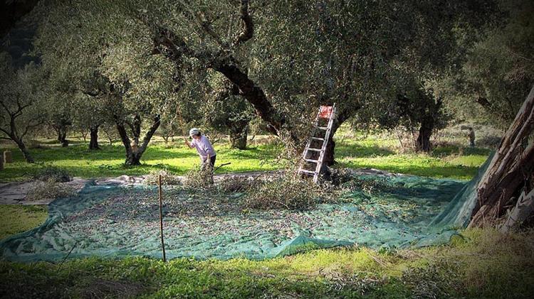 ΒΡΟΥΤΣΗΣ: Καθορίστηκαν οι υπερωρίες των εργαζομενων σε βιομηχανικές, βιοτεχνικές και αγροτικές εκμεταλλεύσεις